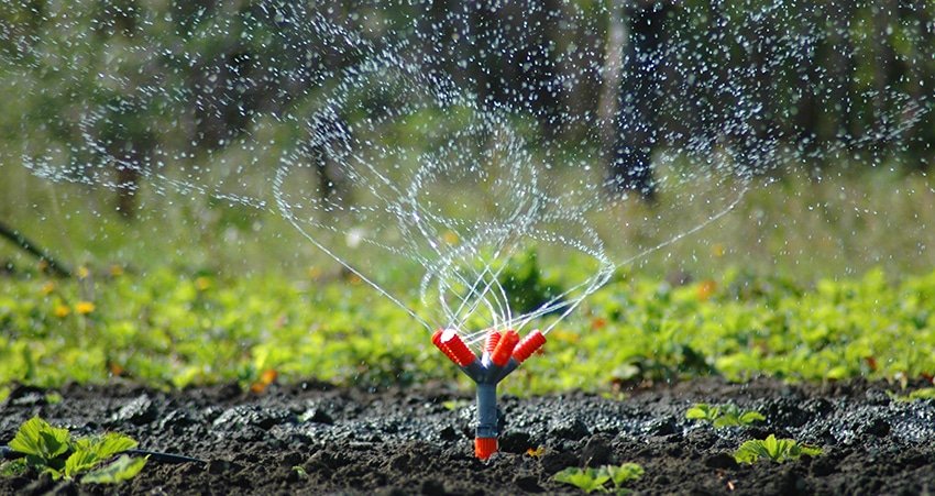 irrigation for plants in dubai