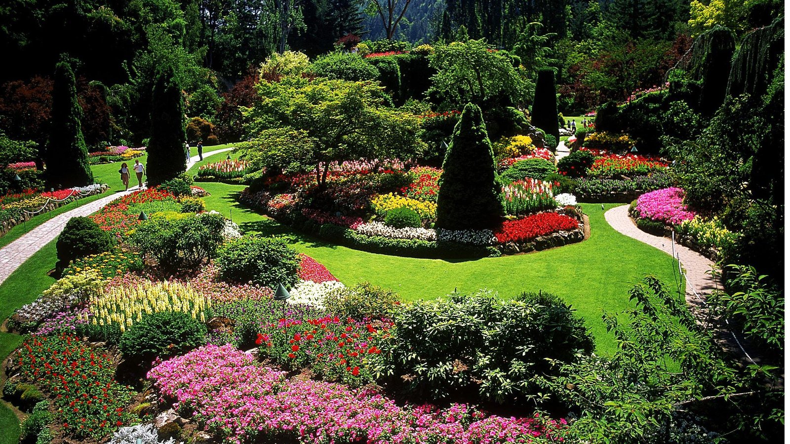 Landscape Design and Construction