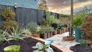 Garden Design