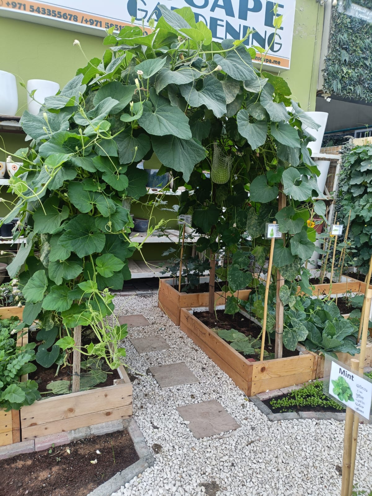 Kitchen Garden Dubai