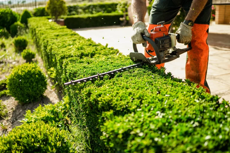 Garden Trimming Dubai