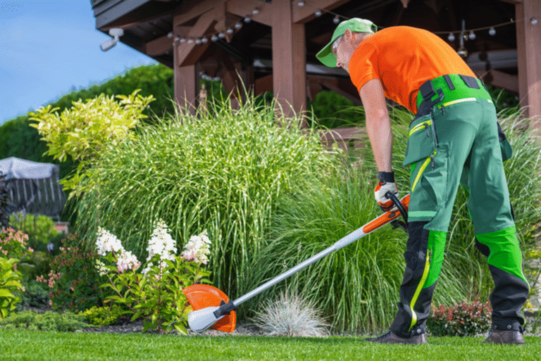 Residential Landscape Maintenance Dubai