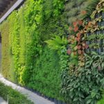 green wall in dubai