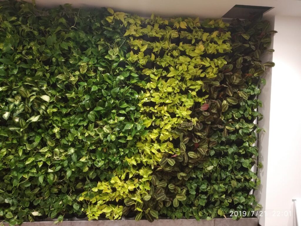 Landscaping Trends Dubai 2026