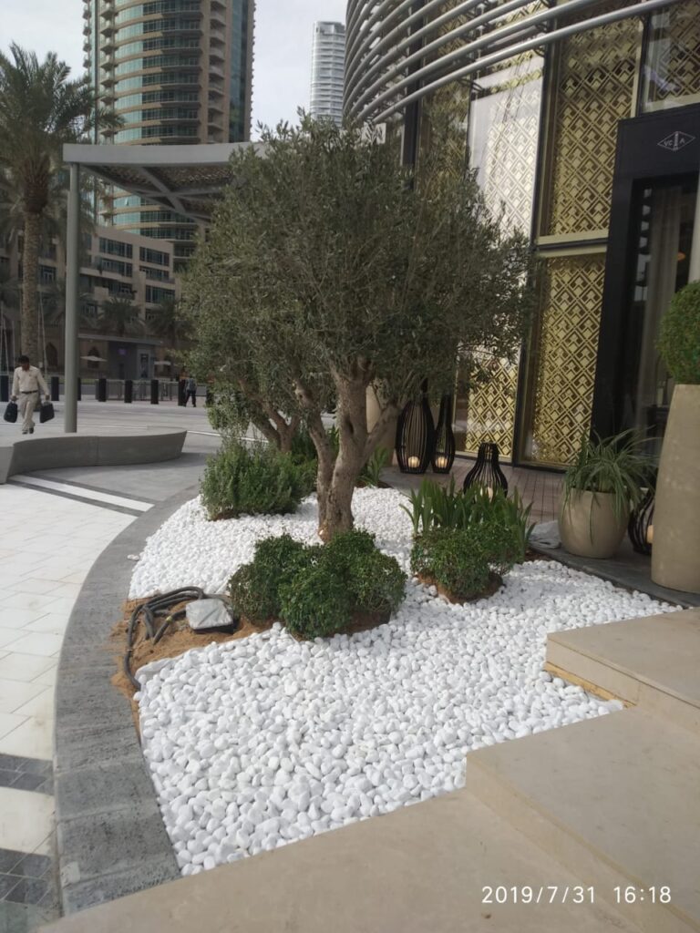Professional Landscape Design Dubai