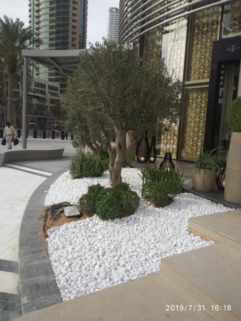 Professional Landscape Design Dubai villa project