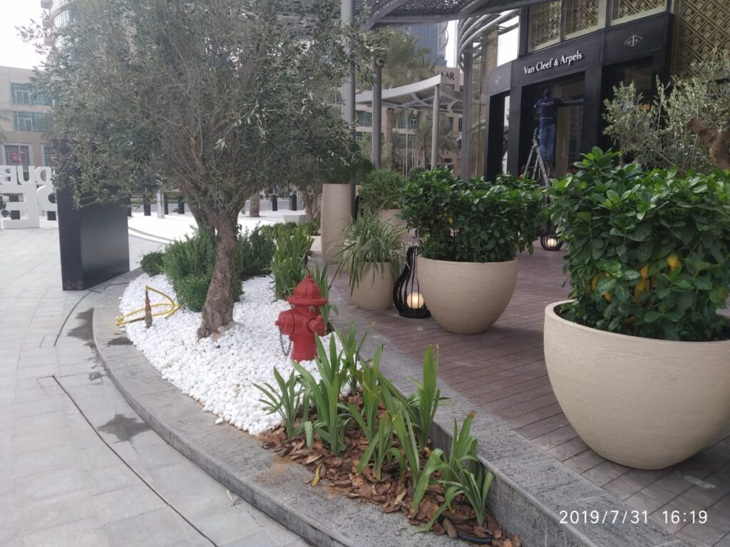 Gravel Garden Dubai