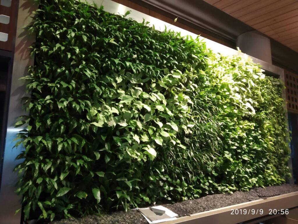 Green Wall Dubai