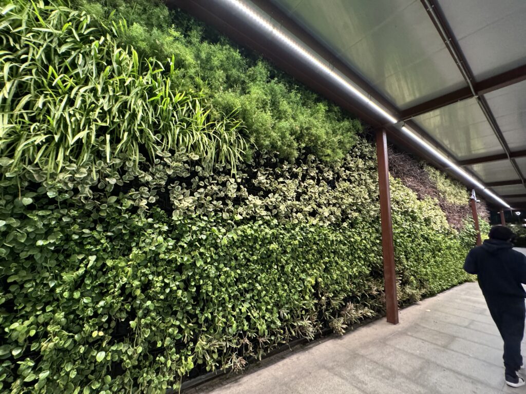 Green Wall Dubai