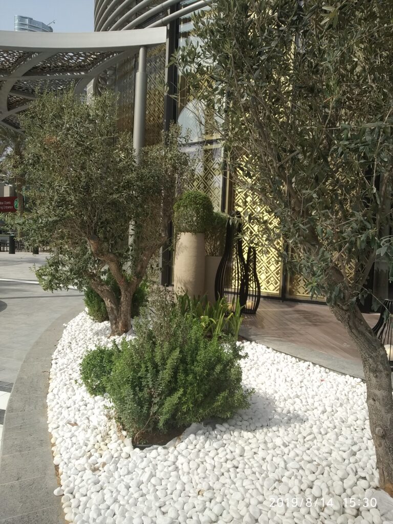 Water Efficient Garden Dubai