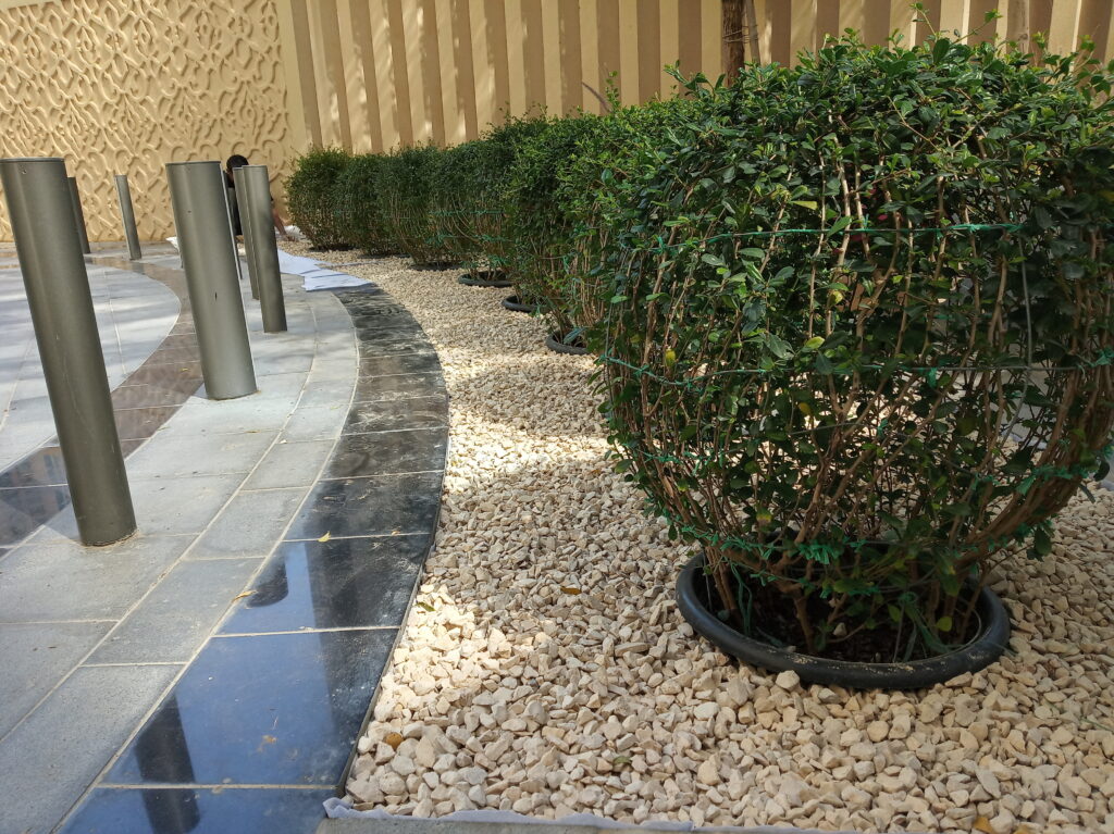Water Efficient Garden Dubai