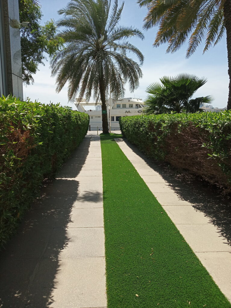 Artificial Grass vs Natural Grass in Dubai