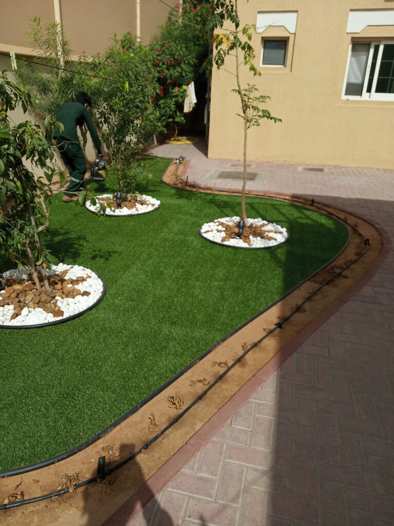 Pool and landscape design Dubai