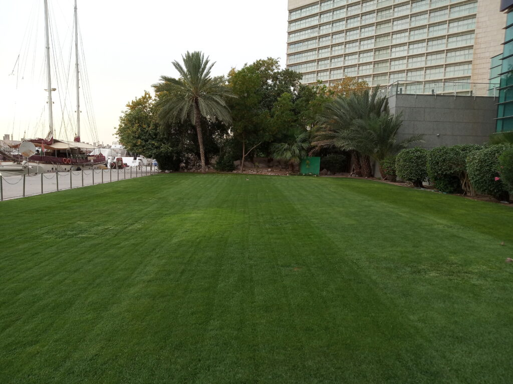 Artificial Grass Dubai