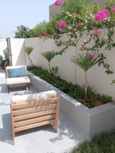Backyard Landscaping Dubai