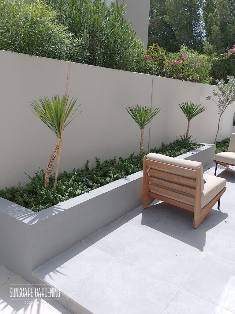 Small Villa Garden Ideas in Dubai