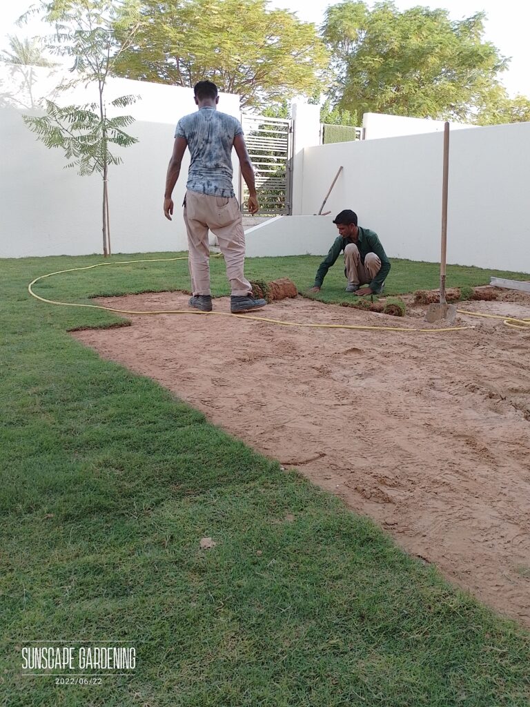 Artificial Grass vs Natural Grass in Dubai