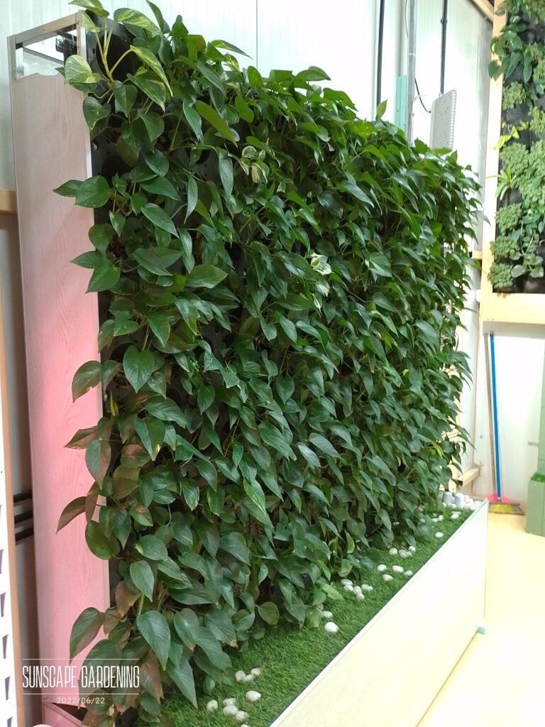 Green wall services in Dubai