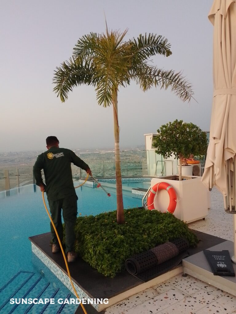swimming pool maintenance Dubai by Sunscape