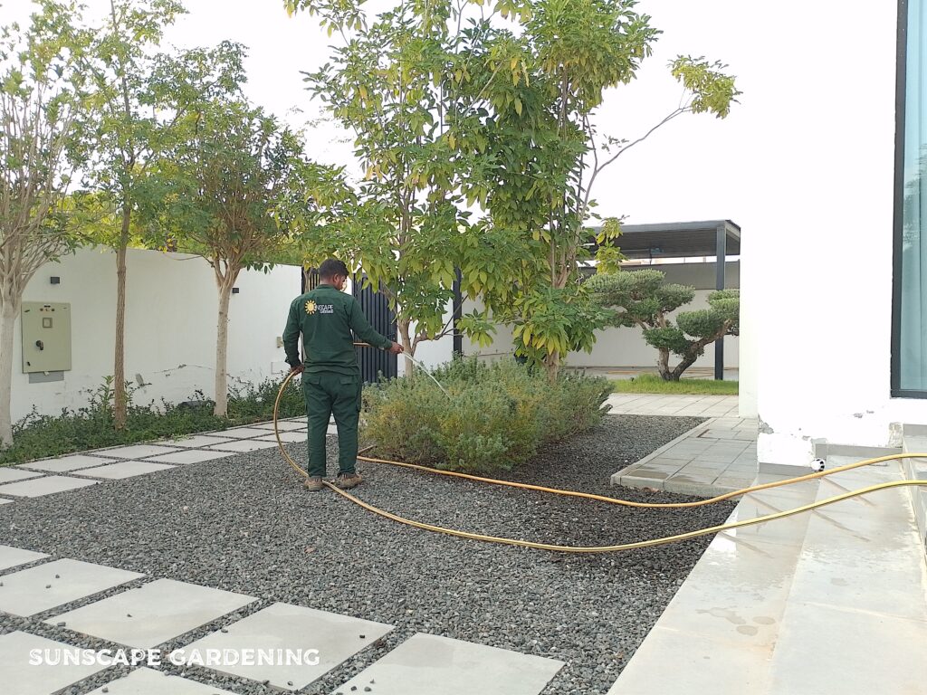 Low Maintenance Garden Dubai