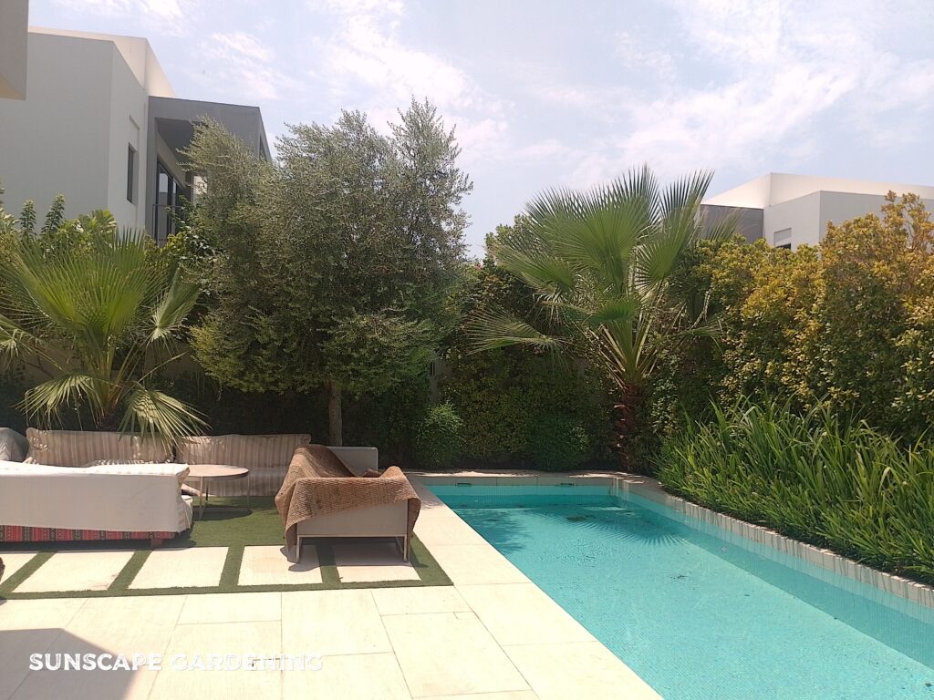 Swimming pool and landscaping companies in Dubai