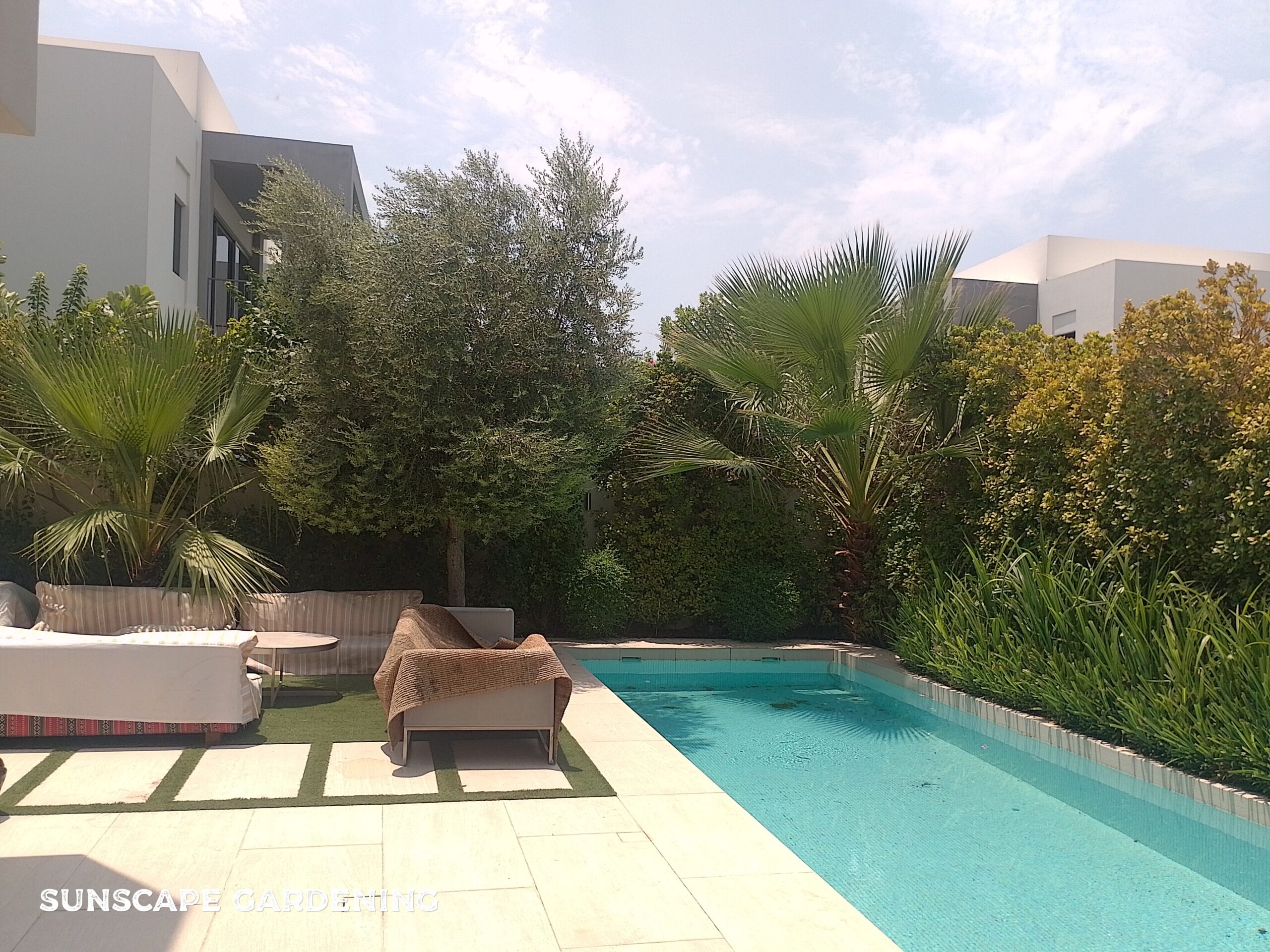 Privacy Plants Dubai landscaping around a swimming pool