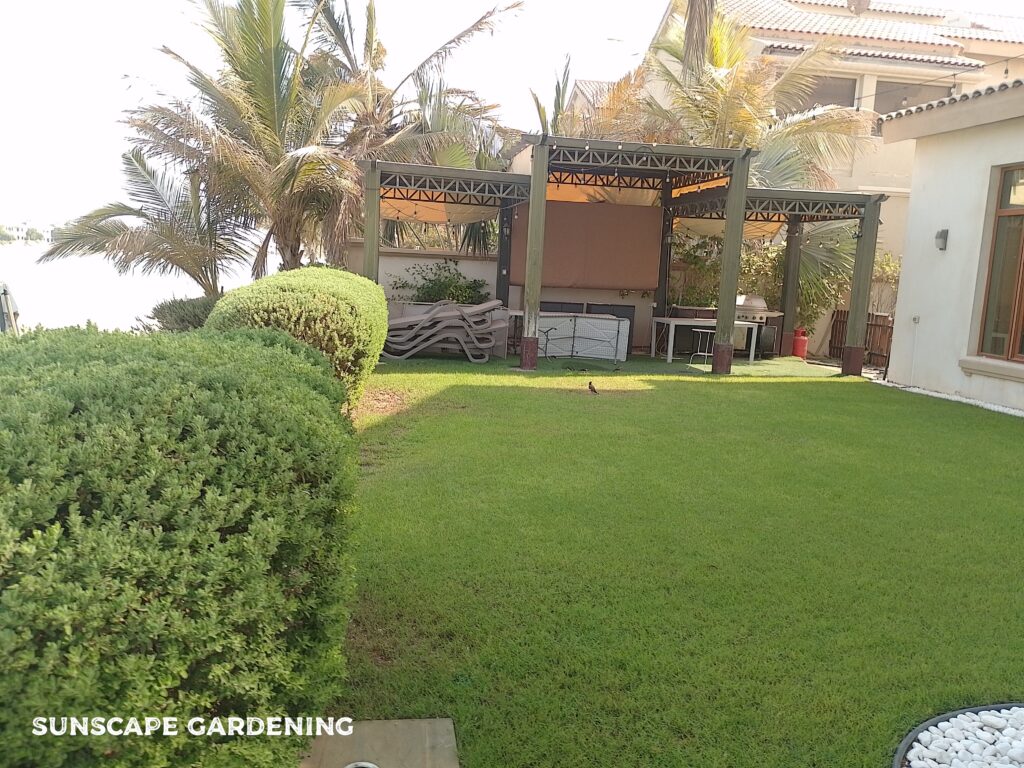 Custom pergola design and installation in Dubai