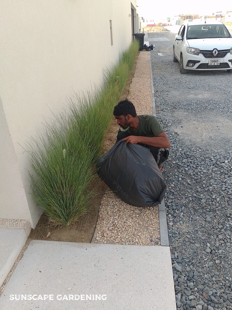 Water Efficient Garden Dubai