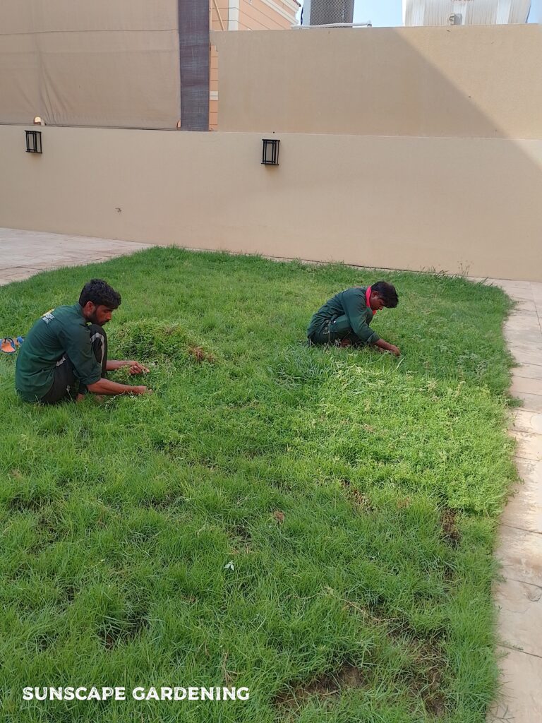 Landscaping Services Dubai