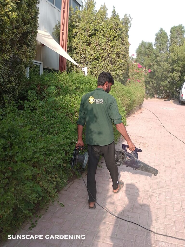 Garden Maintenance Cost Dubai