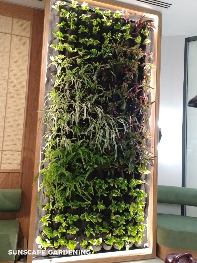 Green wall services in Dubai