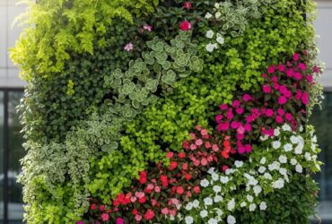 Lush vertical garden installation featuring diverse plants enhancing urban aesthetics