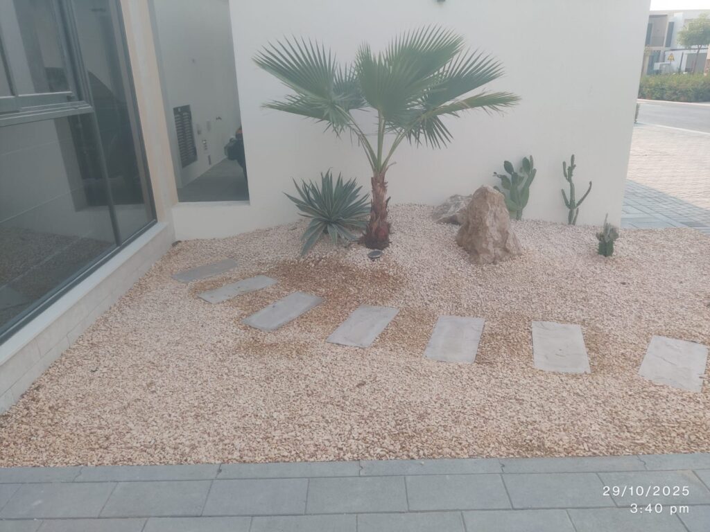 Plants for Dubai gardens